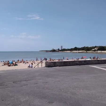 Sur Le Vieux Port, Centre De