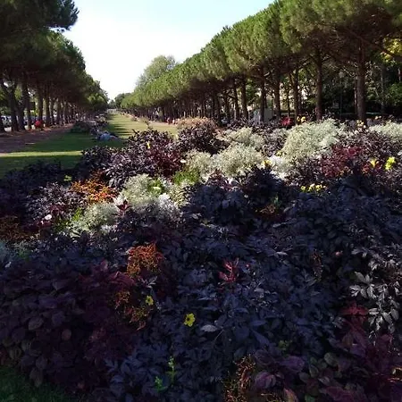 Sur Le Vieux Port, Centre De *